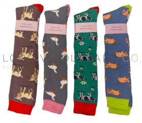 06-SE059FARM-Wholesale Ladies Wellington Long Length Boot Socks Farm Animals by Feathers & Fluff 12 Pairs