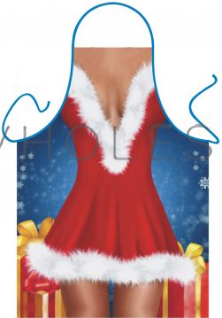 Novelty Barbeque Aprons Christmas Santa Dress