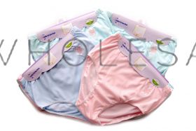 Ladies 3 pair pack Tunnel Elastic Full Briefs with Embroidery 12 pairs